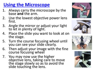 Using the Microscope
1. Always carry the microscope by the
base and the arm.
2. Use the lowest objective power lens
first.
3. Angle the mirror or adjust your light
to let in plenty of light.
4. Place the slide you want to look at on
the stage.
5. Turn the course focusing wheel until
you can see your slide clearly.
6. Then adjust your image with the fine
course focusing wheel
7. You may now use the higher
objective lens, taking care to move
the stage slowly so as to avoid the
slide touching the lens.
 