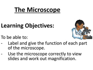 Learning Objectives:
To be able to:
- Label and give the function of each part
of the microscope.
- Use the microscope correctly to view
slides and work out magnification.
The Microscope
 
