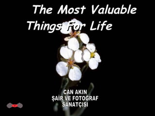 The Most Valuable Things For Life  CAN AKIN ŞAİR VE FOTOĞRAF SANATÇISI 