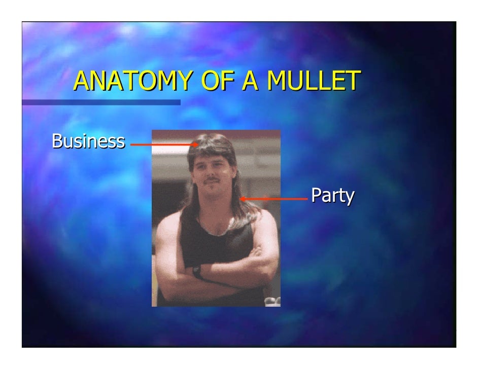 The Mullet