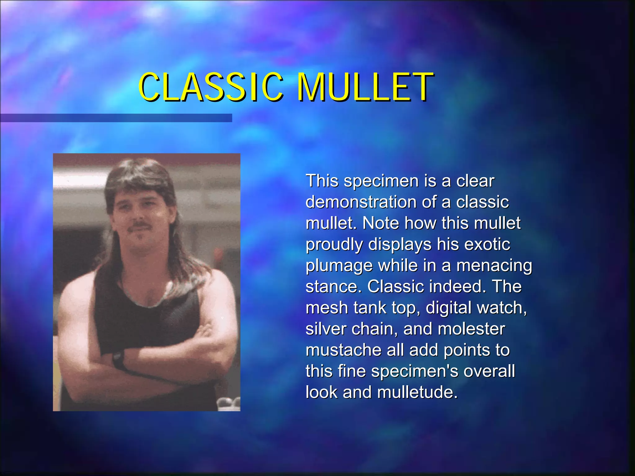 The Mullet | PDF | Shaving | Personal Care
