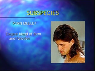The Mullet