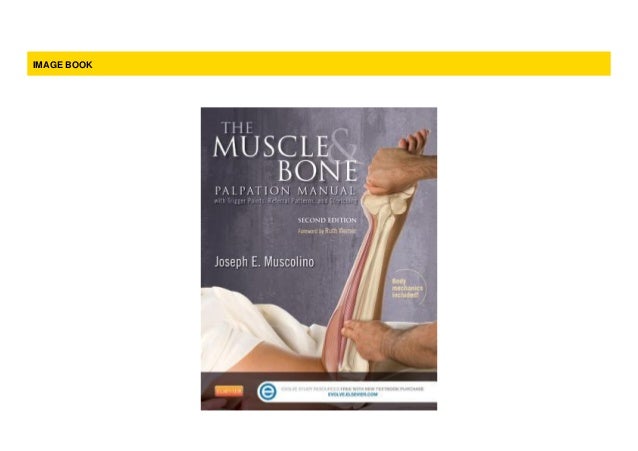 [MOST SOLD]The Muscle and Bone Palpation Manual with Trigger Points,