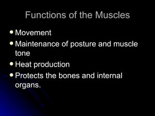 the-muscular-system-powerpoint-1227697713114530-8.pdf