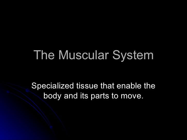 Ppt Muscular System Histology And Physiology Powerpoint Ppt Muscular System Histology And Physiology Powerpoint