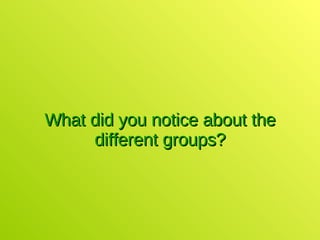 What did you notice about the different groups? 