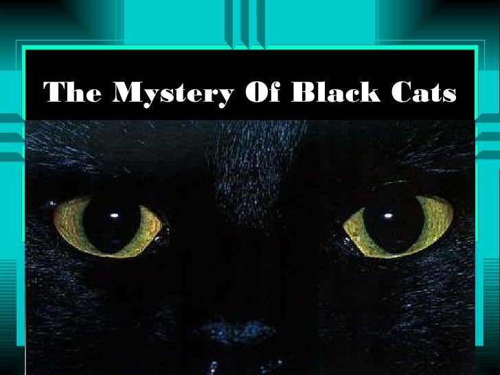 The Mystery Of Black Cats the mystery of black cats