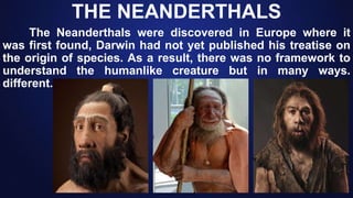 THE NEANDERTHALS
The Neanderthals were discovered in Europe where it
was first found, Darwin had not yet published his treatise on
the origin of species. As a result, there was no framework to
understand the humanlike creature but in many ways.
different.
 