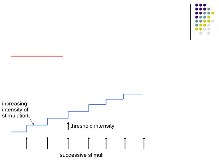 The Nerve Impulse Part 2