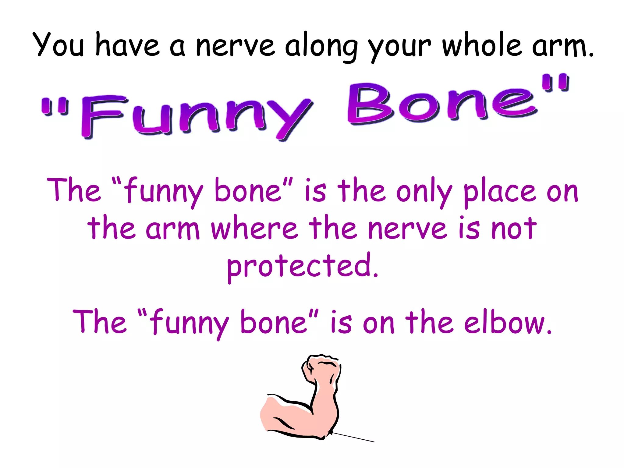 "Funny Bone" You have a nerve along your whole arm. The “funny bone” is the only place on the arm where the nerve is not protected.  The “funny bone” is on the elbow. 