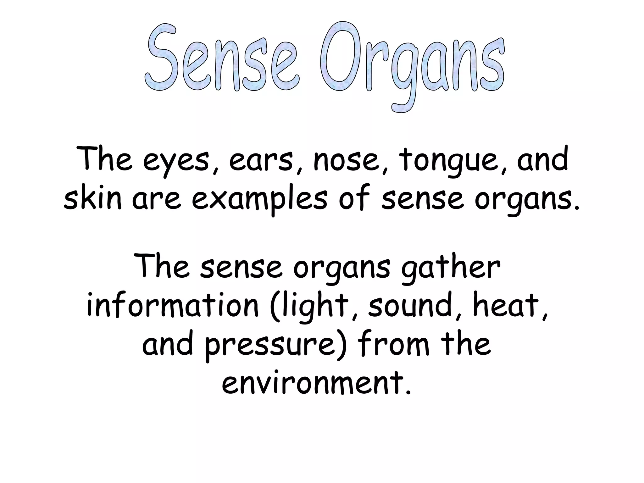 Sense Organs The eyes, ears, nose, tongue, and skin are examples of sense organs. The sense organs gather information (light, sound, heat, and pressure) from the environment. 