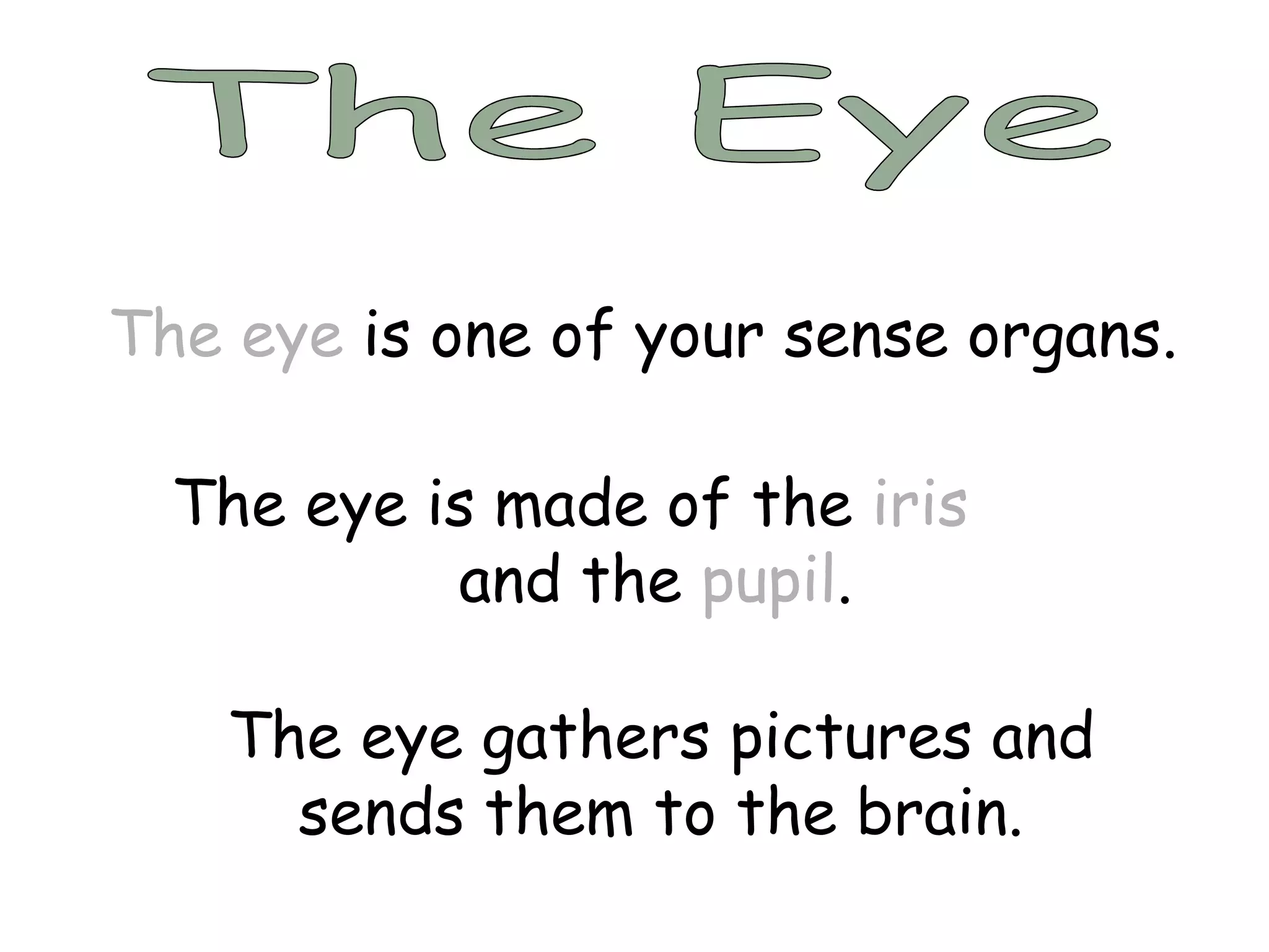 The Eye The eye  is one of your sense organs. The eye is made of the  iris   and the  pupil . The eye gathers pictures and sends them to the brain. 