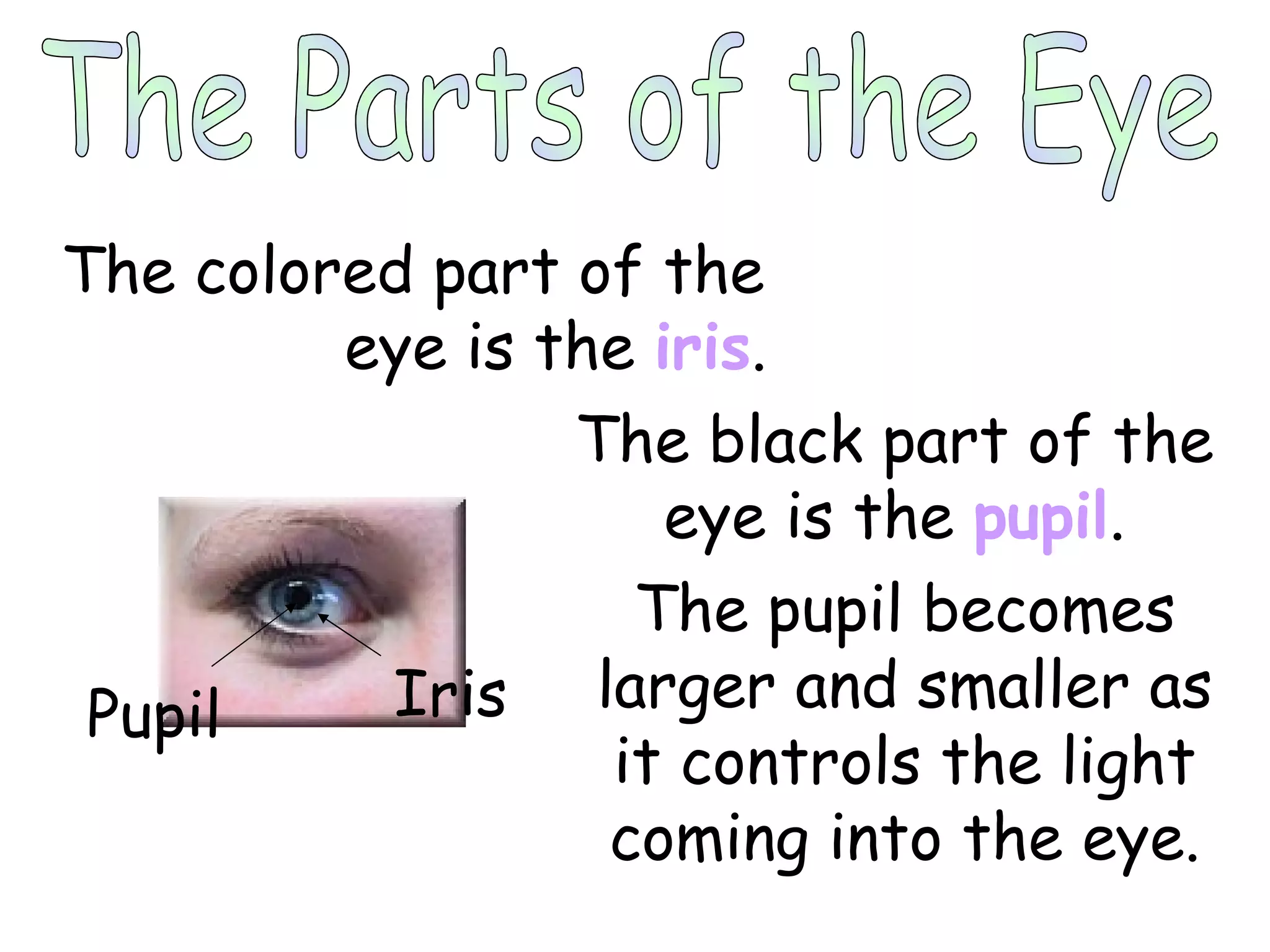 The Parts of the Eye The colored part of the  eye is the  iris . The black part of the eye is the  pupil . The pupil becomes larger and smaller as it controls the light coming into the eye. Iris Pupil 