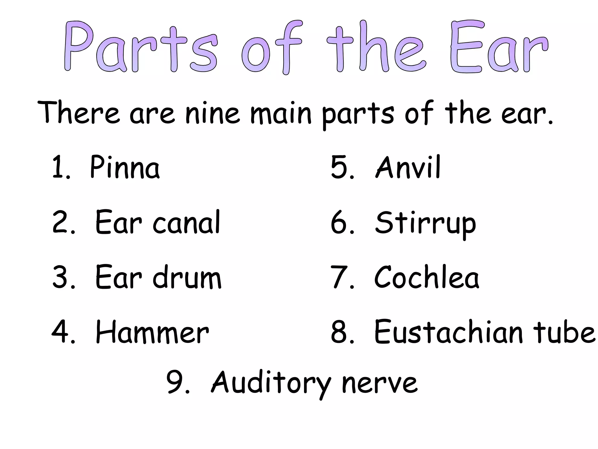 Parts of the Ear There are nine main parts of the ear. 1.  Pinna 2.  Ear canal 3.  Ear drum 5.  Anvil 6.  Stirrup 7.  Cochlea 4.  Hammer 8.  Eustachian tube 9.  Auditory nerve 