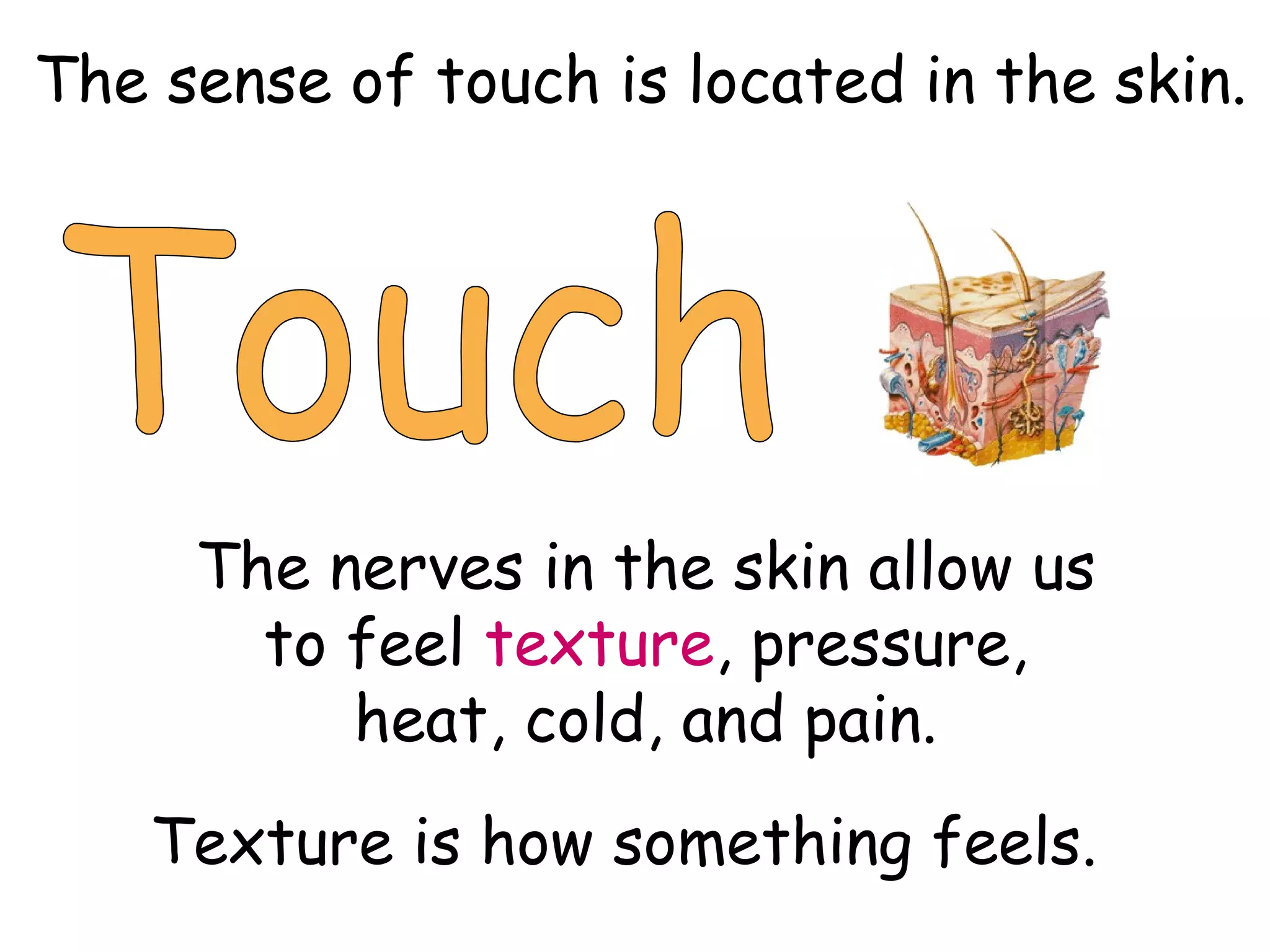 Touch The sense of touch is located in the skin. The nerves in the skin allow us to feel  texture , pressure, heat, cold, and pain. Texture is how something feels. 