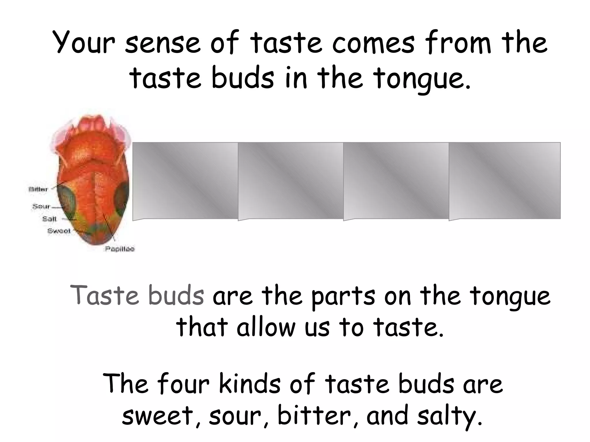 Your sense of taste comes from the taste buds in the tongue. Taste buds  are the parts on the tongue that allow us to taste. The four kinds of taste buds are sweet, sour, bitter, and salty. ____ 