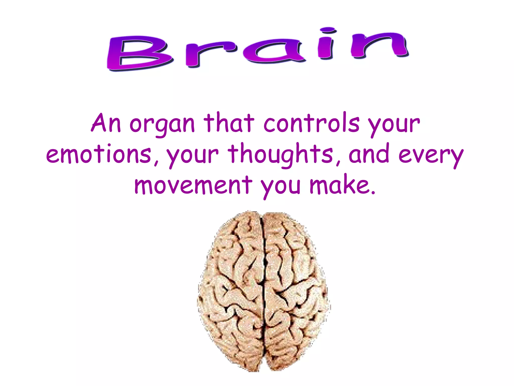 Brain An organ that controls your emotions, your thoughts, and every movement you make. 