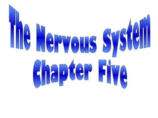 The Nervous System Chapter Five 
