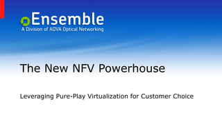 The New NFV Powerhouse
Leveraging Pure-Play Virtualization for Customer Choice
 