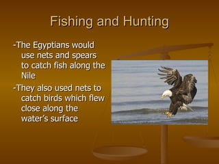 Fishing and Hunting -The Egyptians would use nets and spears to catch fish along the Nile -They also used nets to catch birds which flew close along the water’s surface 