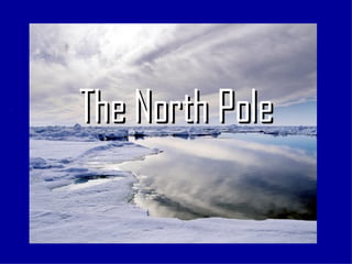 The North Pole 