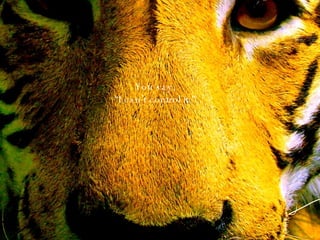 You say, “ I can ’ t control it.” 