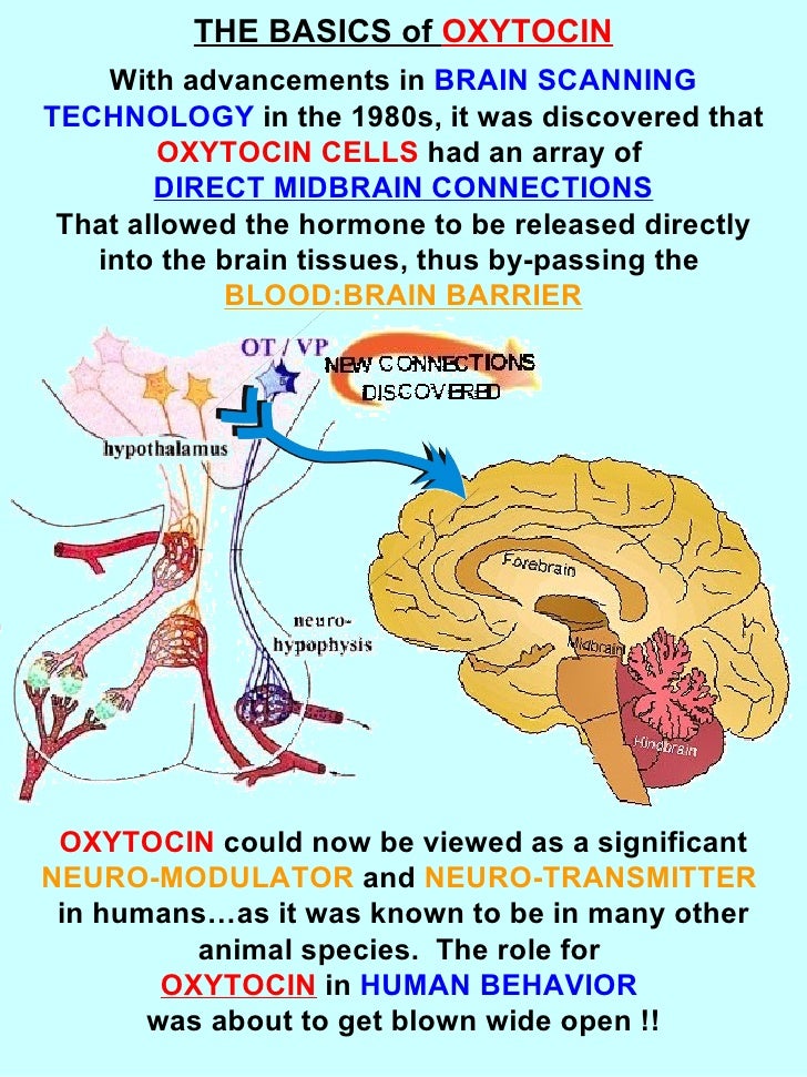 The Oxytocin Cell
