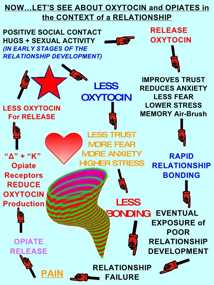 The Oxytocin Cell