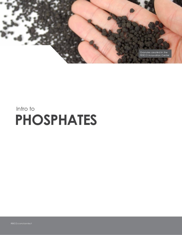 The phosphatesprocessinghandbook