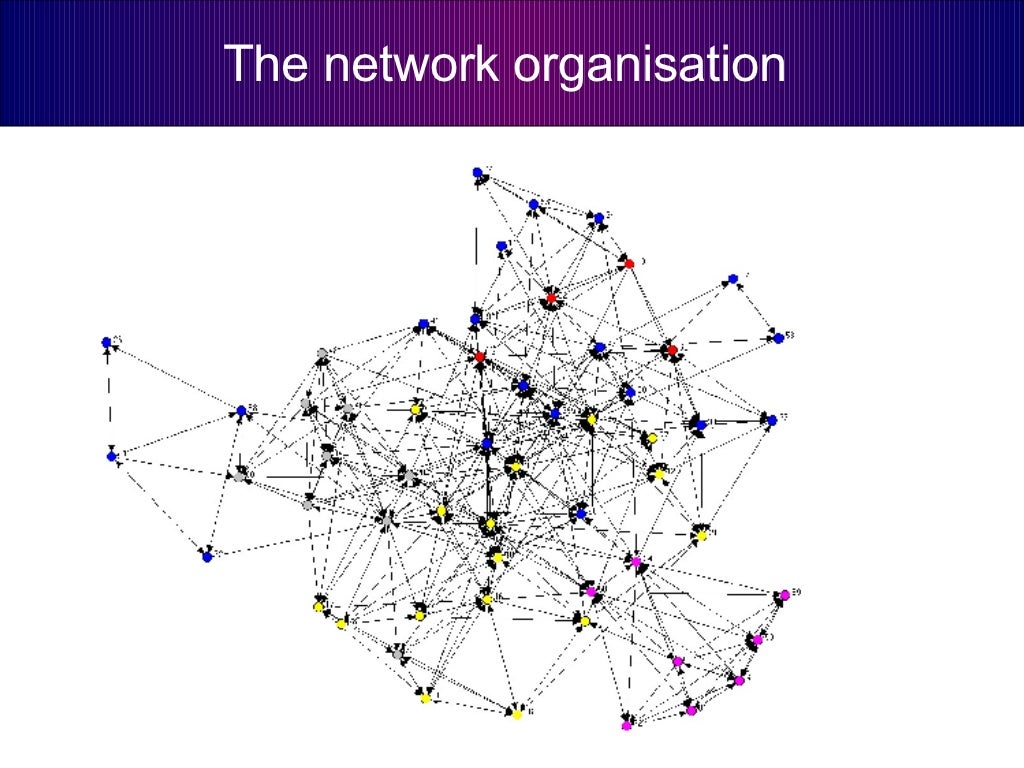 The network organisation