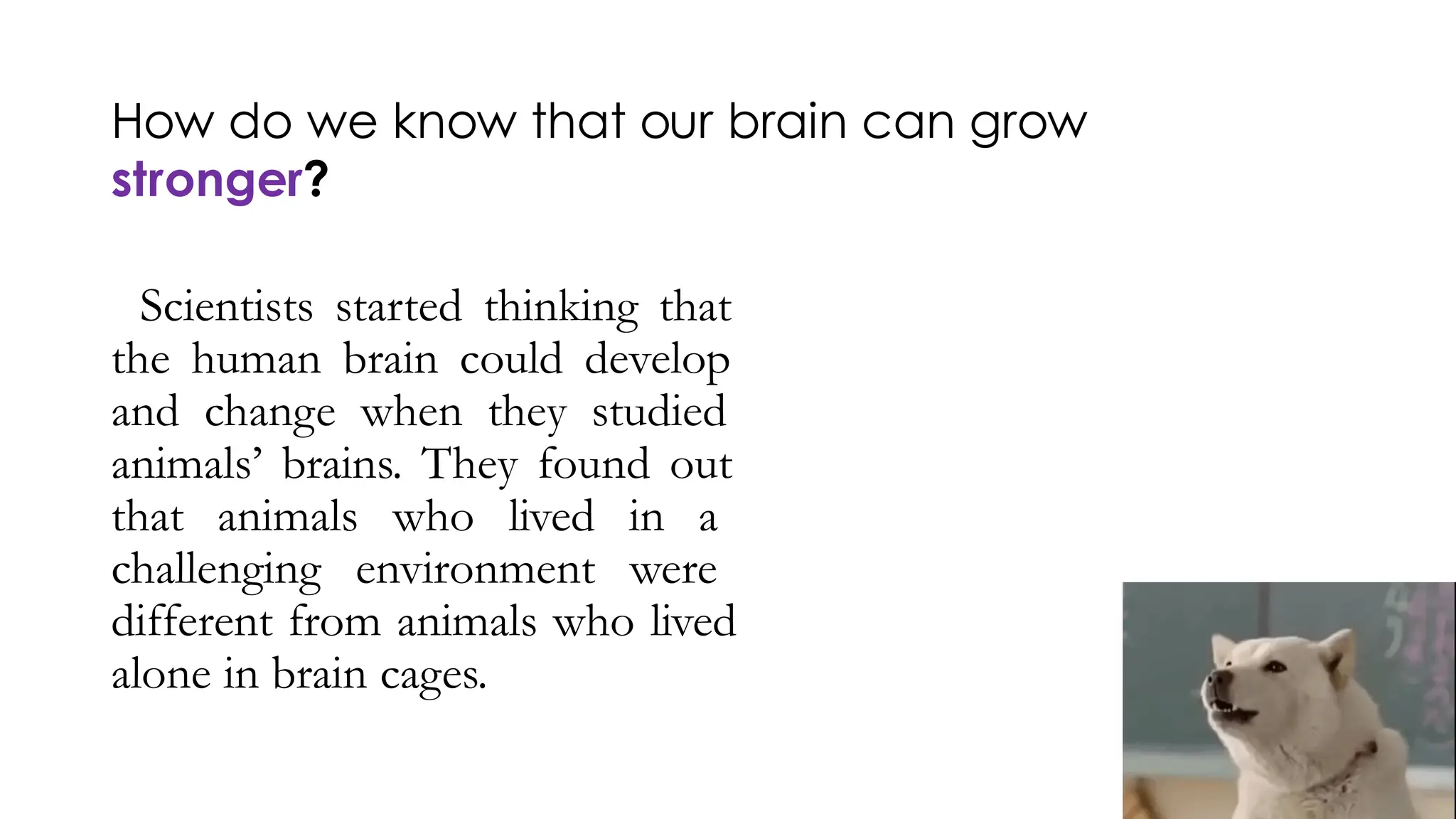 How do we know that our brain can grow
stronger?
Scientists started thinking that
the human brain could develop
and change when they studied
animals’ brains. They found out
that animals who lived in a
challenging environment were
different from animals who lived
alone in brain cages.
 