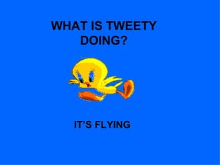 WHAT IS TWEETY
   DOING?




   IT’S FLYING
 