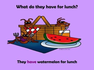 What do they have for lunch?




They have watermelon for lunch
 