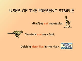 USES OF THE PRESENT SIMPLE Giraffes  eat  vegetables. Cheetahs  run  very fast. Dolphins  don’t live  in the river. 