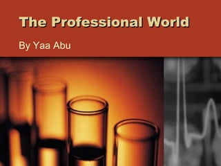 The Professional World By Yaa Abu 