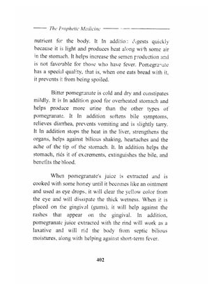 The Prophetic Medicine _ English