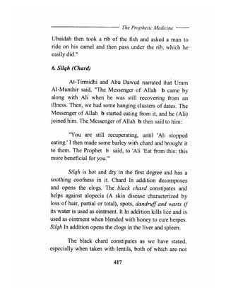 The Prophetic Medicine _ English