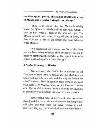 The Prophetic Medicine _ English