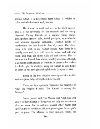 The Prophetic Medicine _ English
