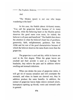The Prophetic Medicine _ English