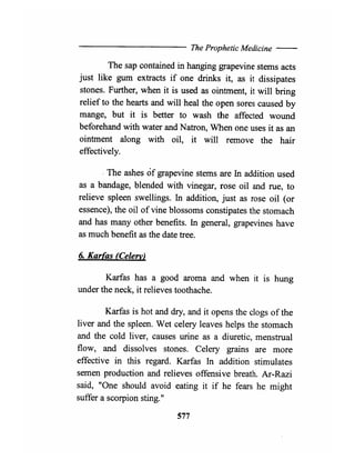 The Prophetic Medicine _ English