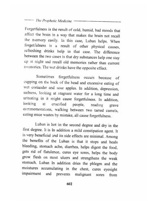 The Prophetic Medicine _ English