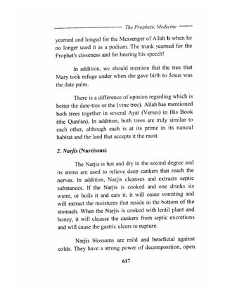 The Prophetic Medicine _ English