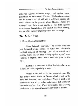 The Prophetic Medicine _ English