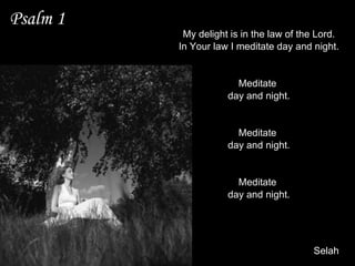 Psalm 1 My delight is in the law of the Lord. In Your law I meditate day and night. Meditate  day and night. Meditate  day and night. Meditate  day and night.    Selah   