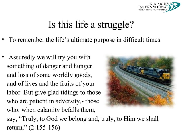 The Purpose Of Life In Islam PPT the-purpose-of-life-in-islam-ppt