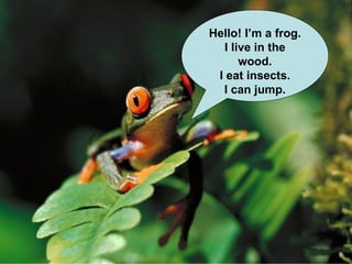 Hello! I’m a frog. I live in the wood. I eat insects. I can jump. 