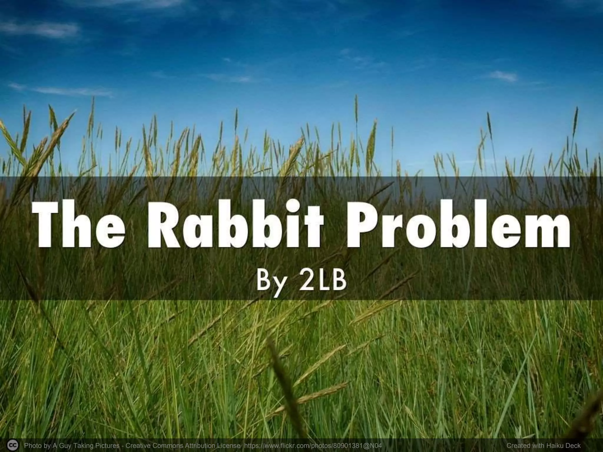 The Rabbit Problem | PPT | Free Download