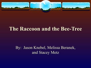 The Raccoon and the Bee-Tree By:  Jason Knebel, Melissa Beranek, and Stacey Metz 