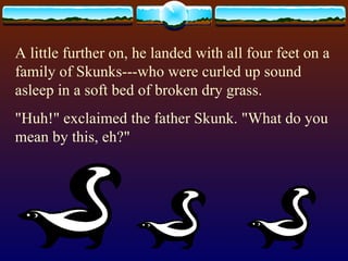 A little further on, he landed with all four feet on a family of Skunks---who were curled up sound asleep in a soft bed of broken dry grass.  &quot;Huh!&quot; exclaimed the father Skunk. &quot;What do you mean by this, eh?&quot;  
